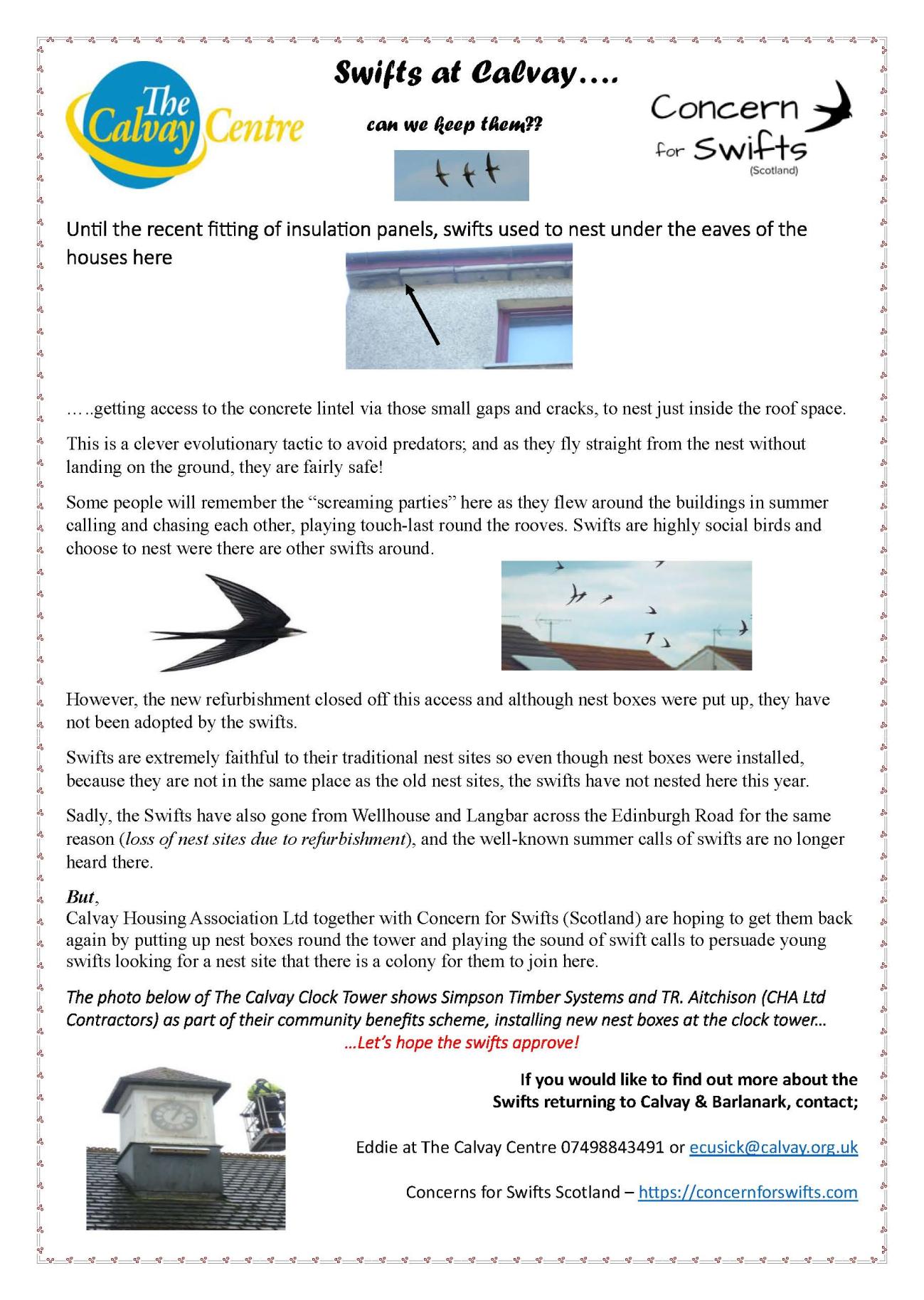 Swifts Poster